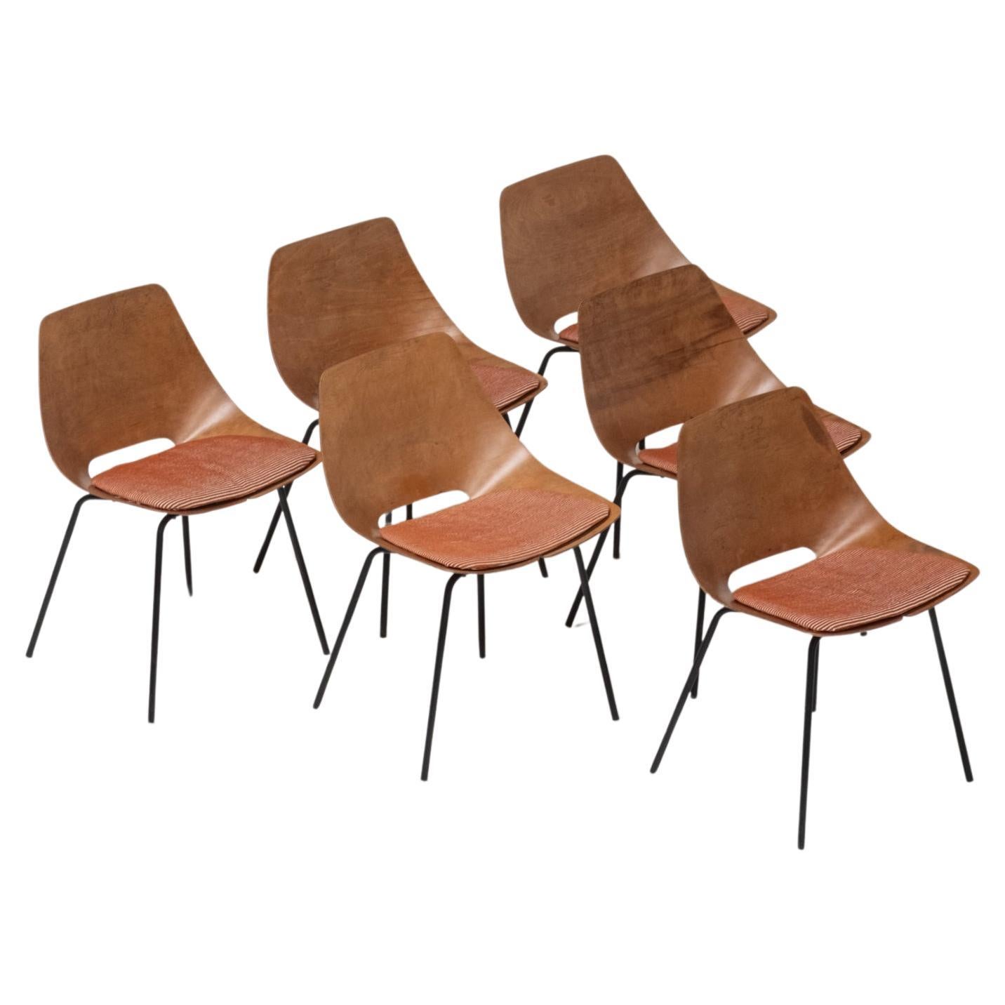 Ensemble de six chaises "Tonneau" par Pierre Guariche pour Steiner, France, années 1950