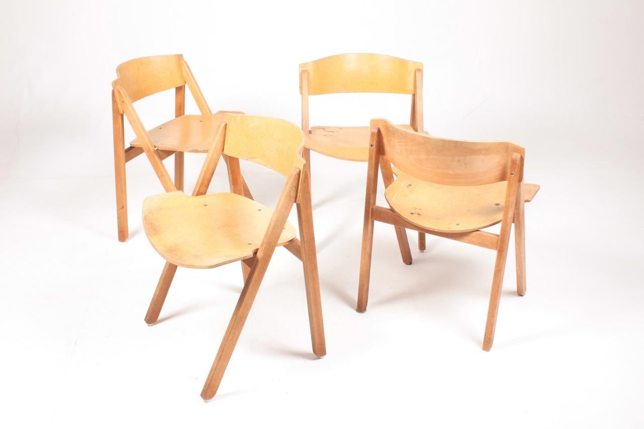 Set of Six 