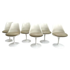 Set of Six Tulip Dining Chairs Knoll International