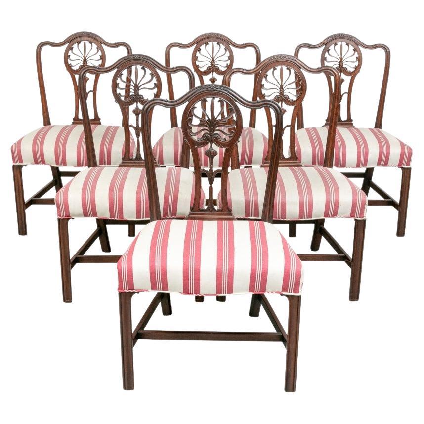 Set di sei raffinate poltrone antiche in stile Hepplewhite