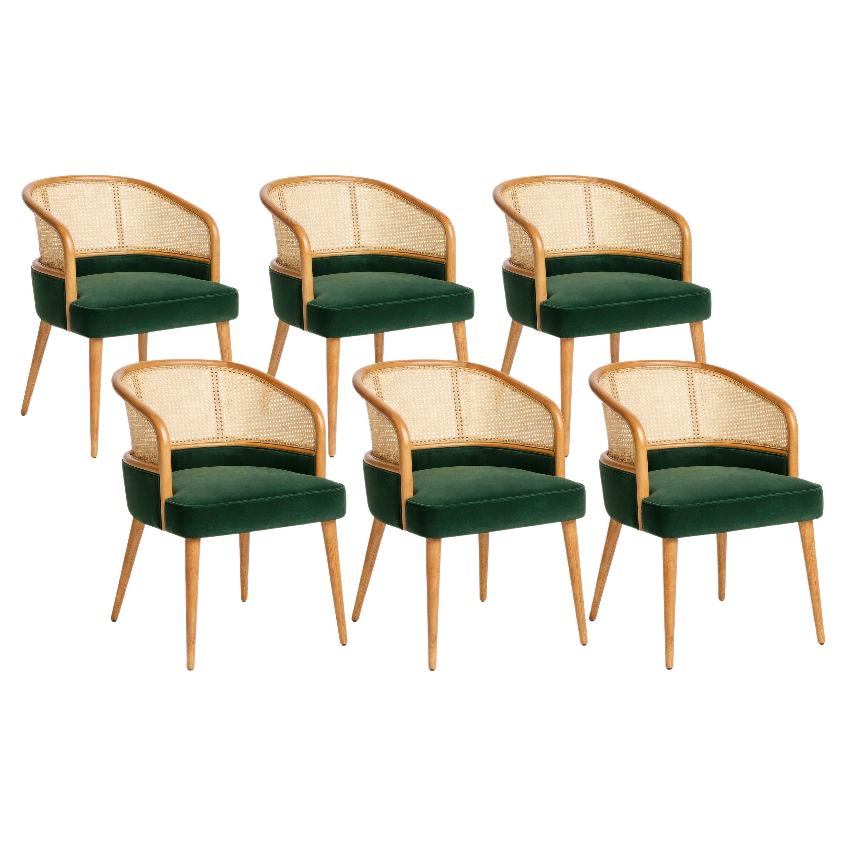 Six Mid-Century Modern Style Cane Back Dining Chairs