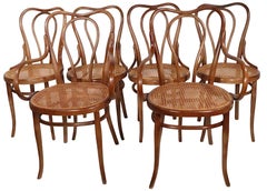 Set von sechs Wiener Sechser-Szessionsisten  Esszimmerstühle aus Bugholz, hergestellt in Österreich von Thonet