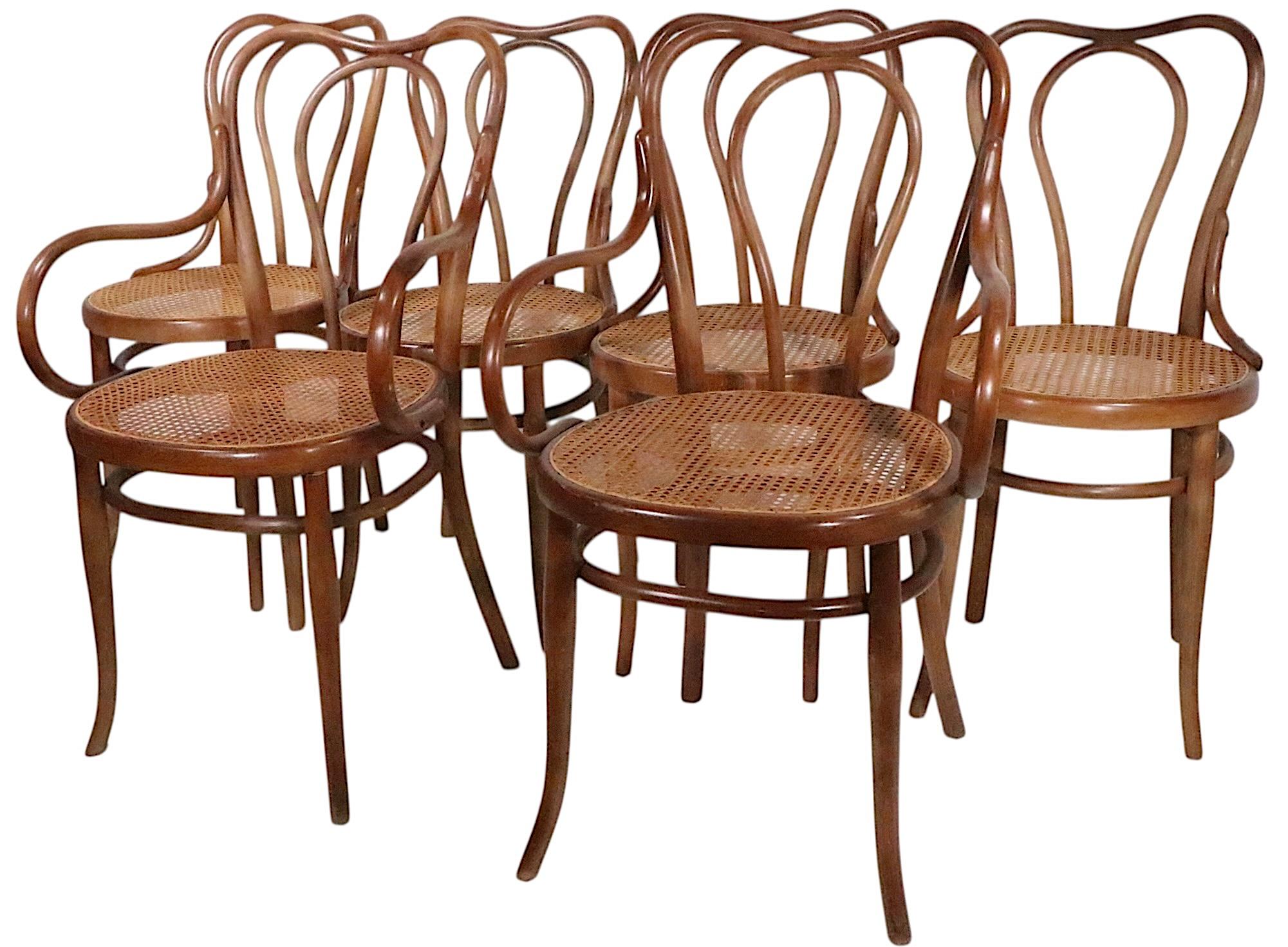 Austriaco Set di sei scessionisti di Vienna  Sedie da pranzo in legno curvato realizzate in Austria da Thonet in vendita