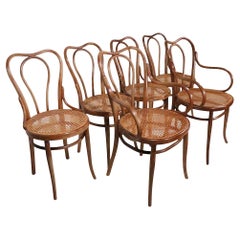 Set of Six Vienna Scessionist  Bentwood Dining Chairs Made in Austria by Thonet