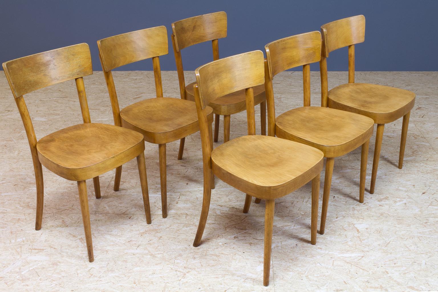 Oiled Set of Six Vintage Bistro Set in Birch Plywood Dining Chairs in Style of Thonet