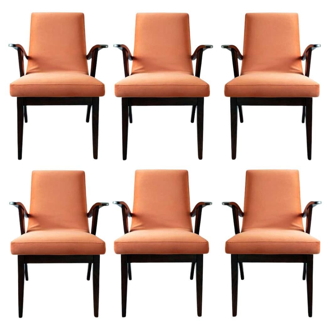 Set of Six Vintage Chairs in Orange Velvet by Mieczyslaw Puchala, Europe, 1960s
