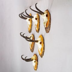 Set di sei trofei di camoscio d'epoca su placche di legno, Germania, 1940 ca.