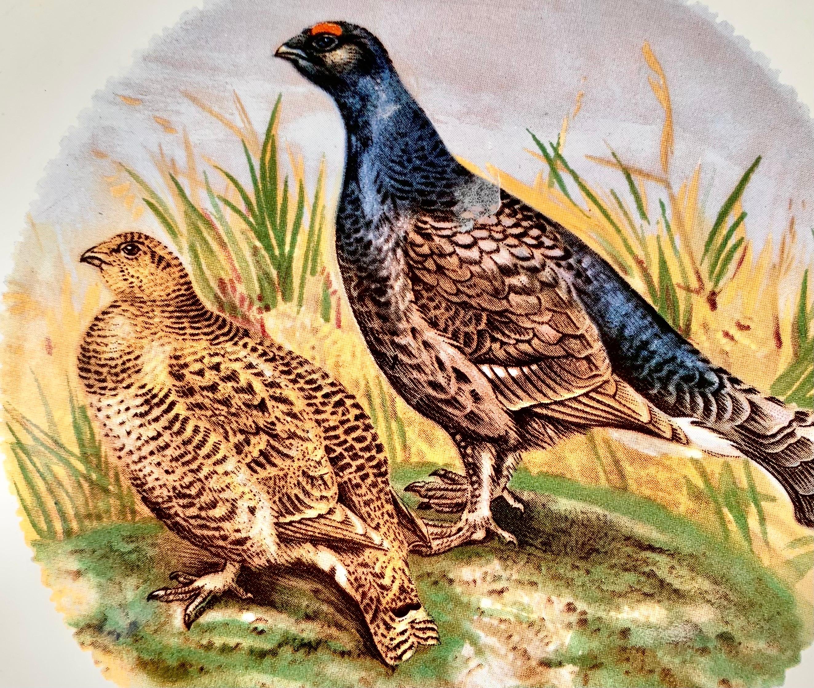 pheasant dinnerware set