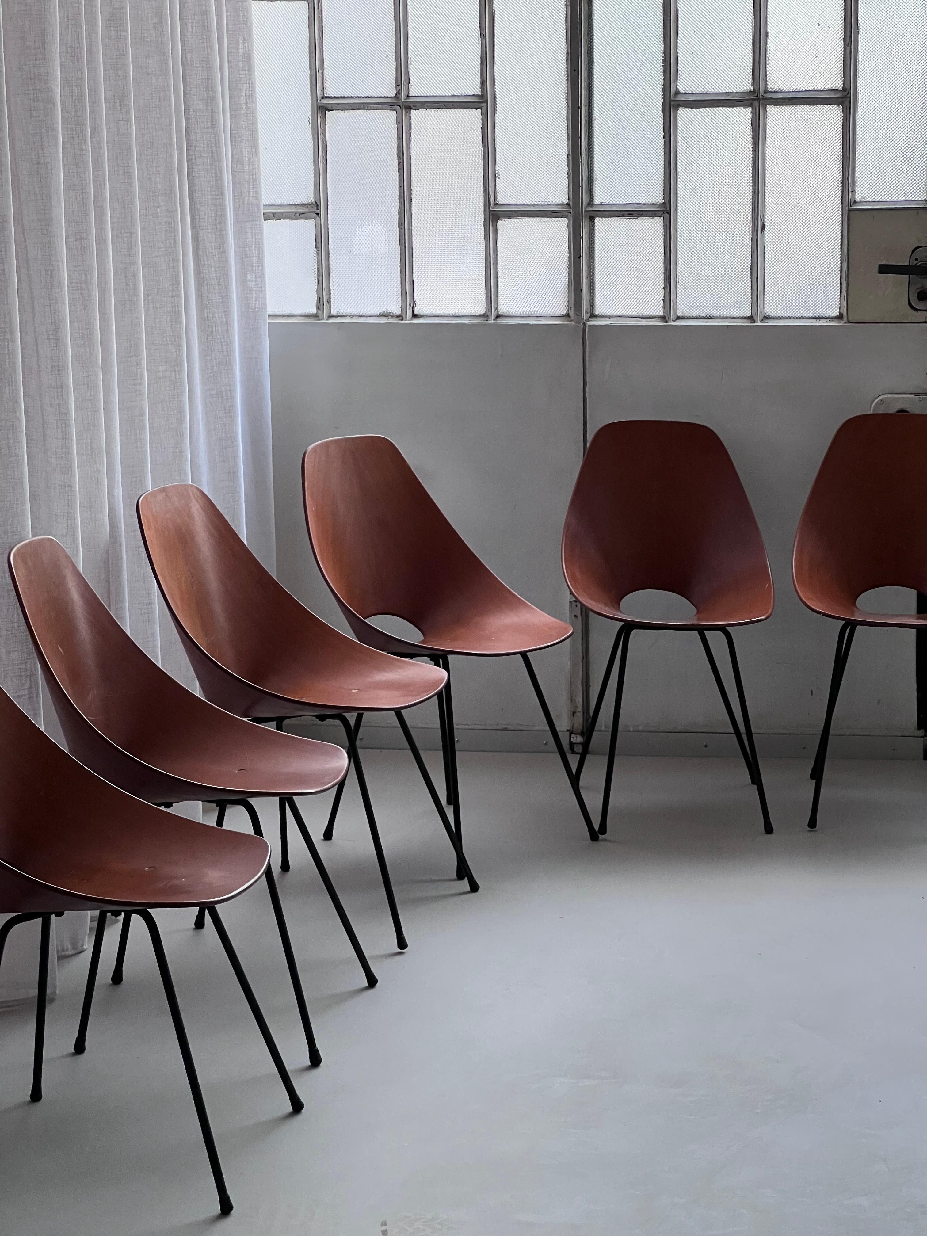 Set of six vintage italian Medea chairs in wood by Vittorio Nobili for Tagliabue For Sale 8