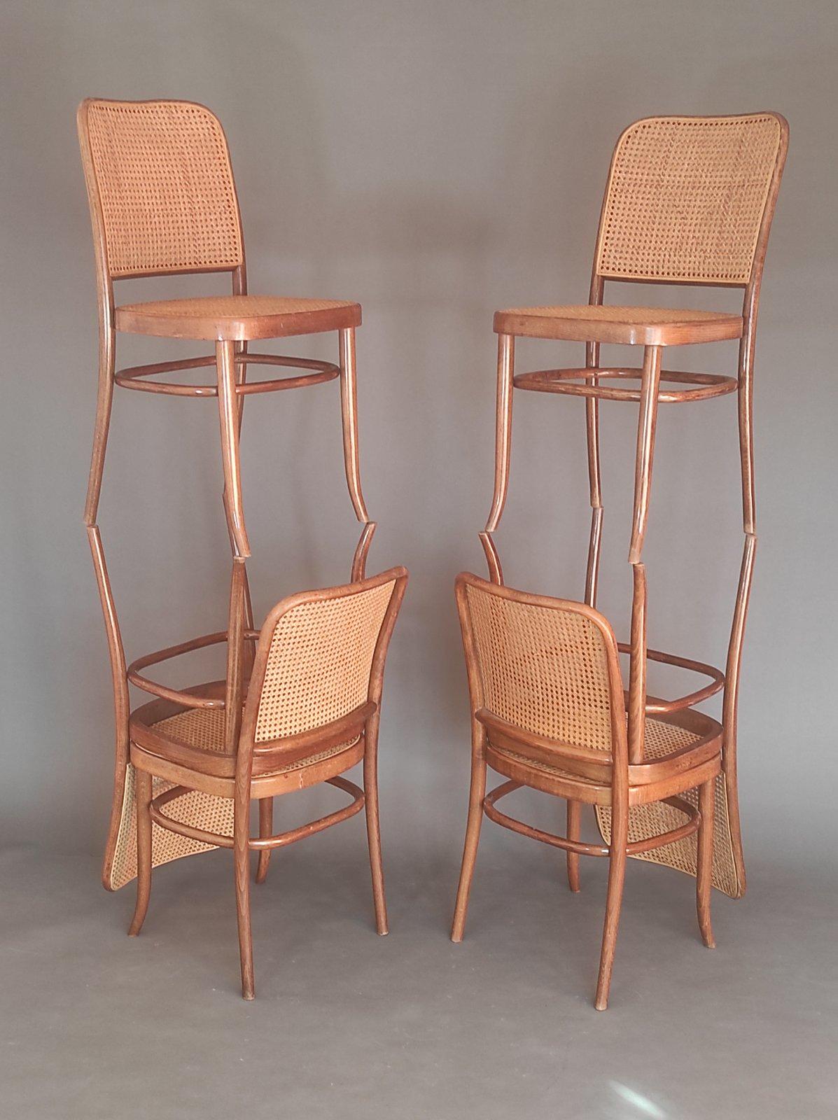 Set of Six Vintage Prague 811 Chair By Josef Hoffmann 1950s For Sale 5