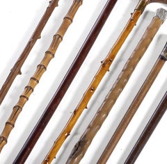 Set of six walking sticks