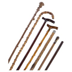 Set of six walking sticks