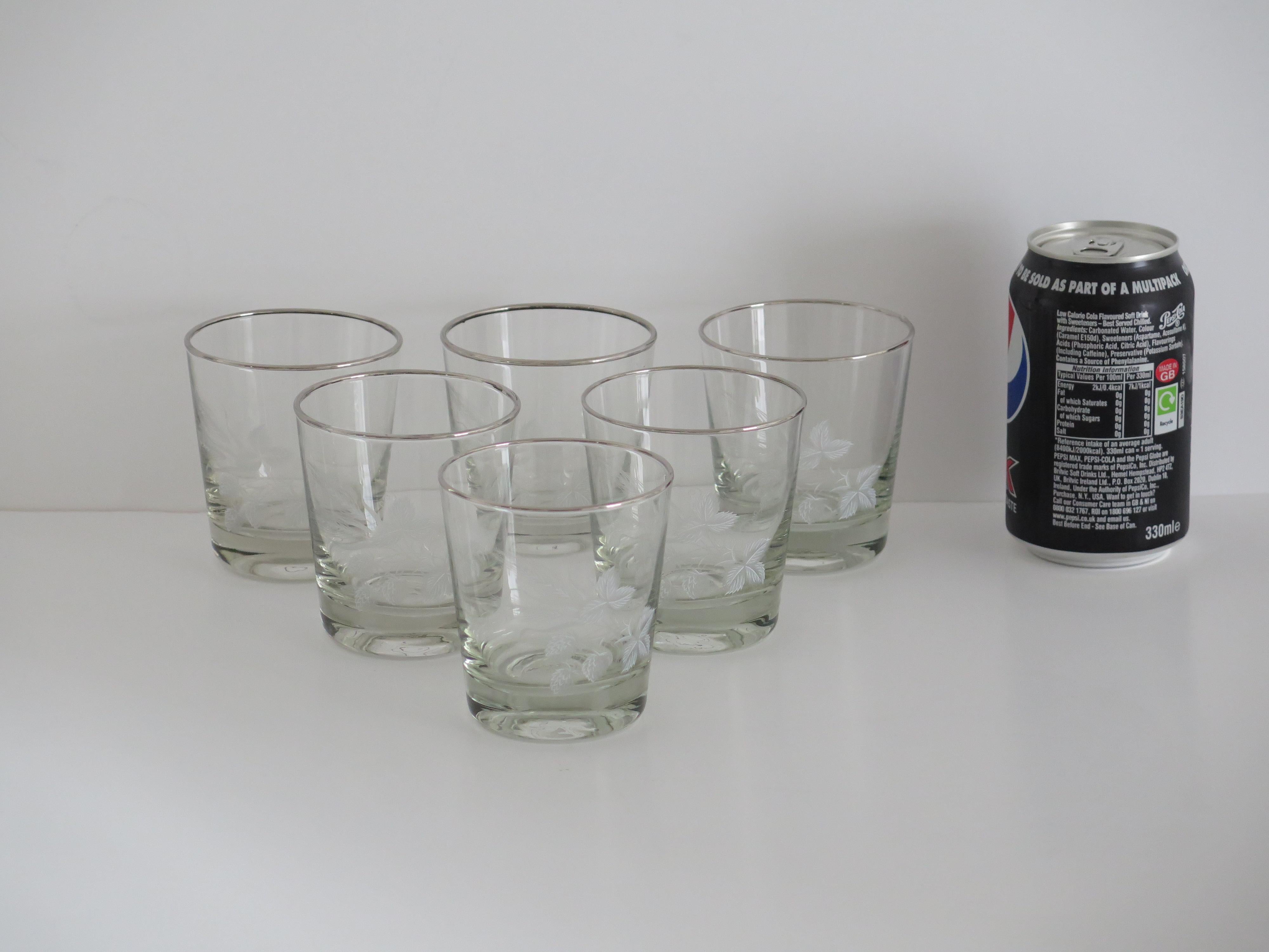Set of SIX Whisky Drinking Glasses Barley Decoration & Silver Rim, circa 1950s For Sale 6