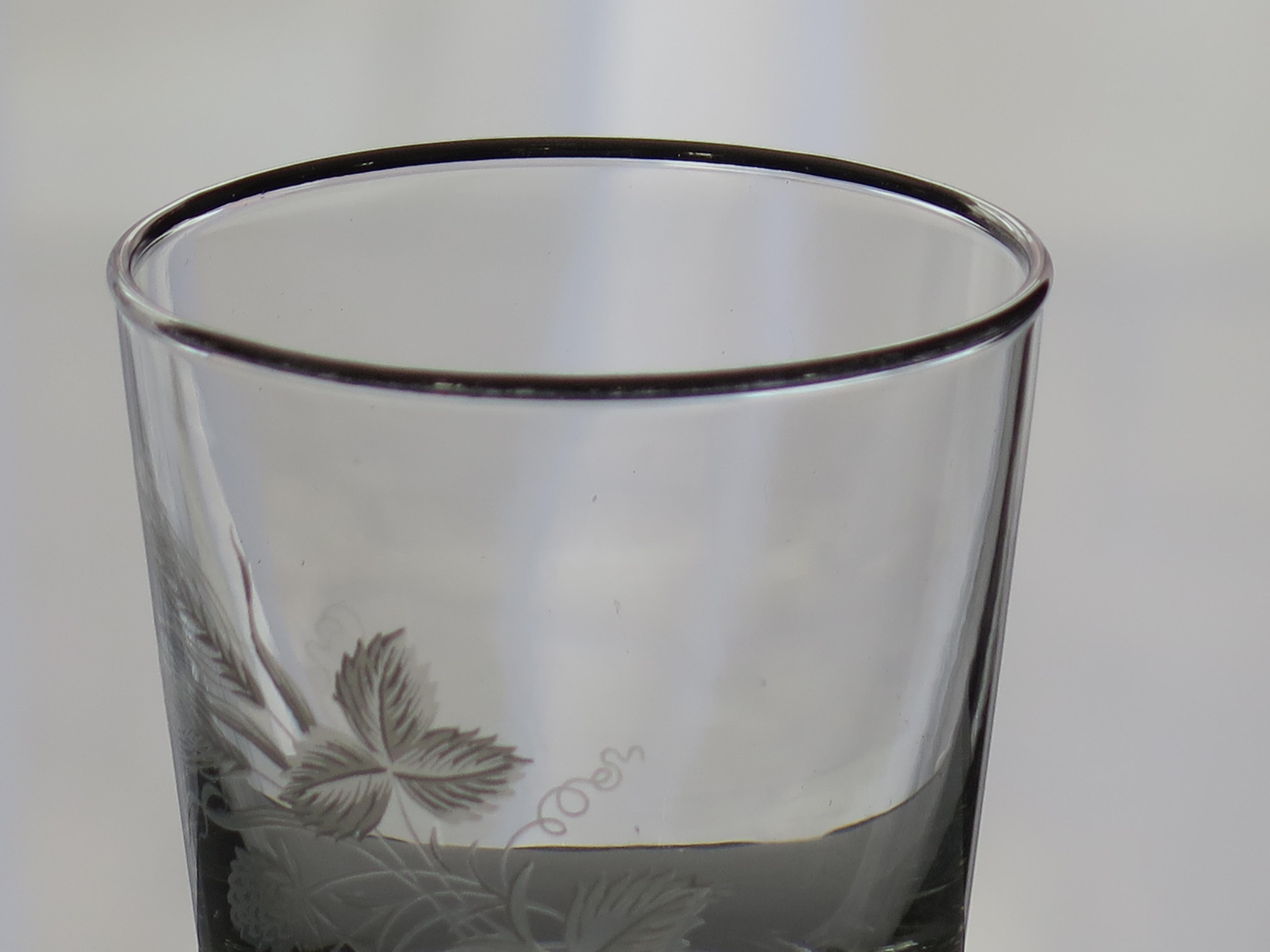 Set of SIX Whisky Drinking Glasses Barley Decoration & Silver Rim, circa 1950s For Sale 1
