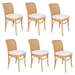 Vintage Set of Six White Boucle Thonet Wood Rattan Chairs, 1960s