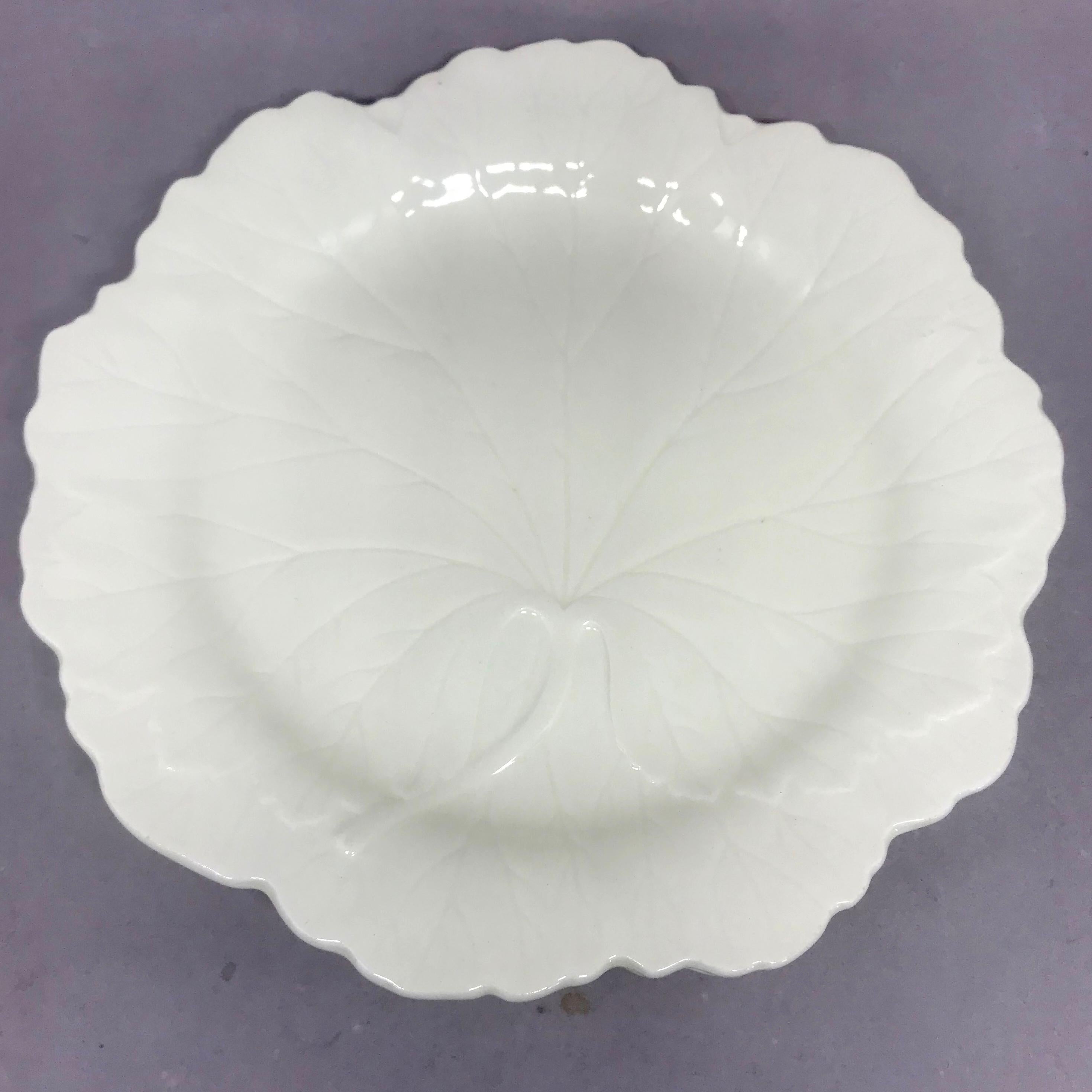 white leaf plates