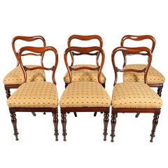 Set of Six William IV Chairs