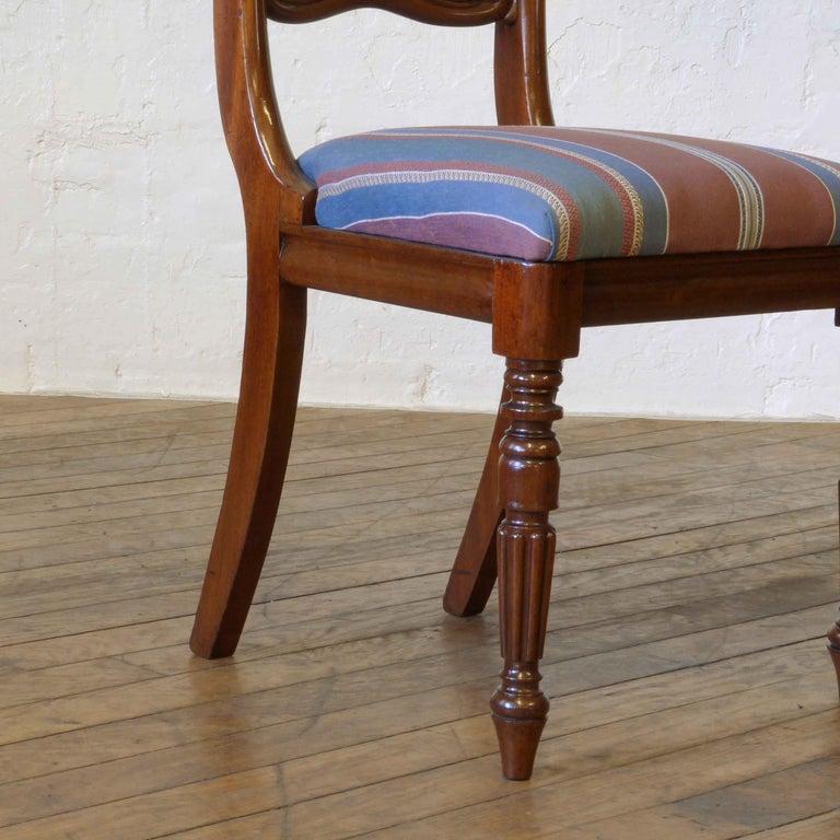 Set of Six William IV Mahogany Chairs at 1stDibs