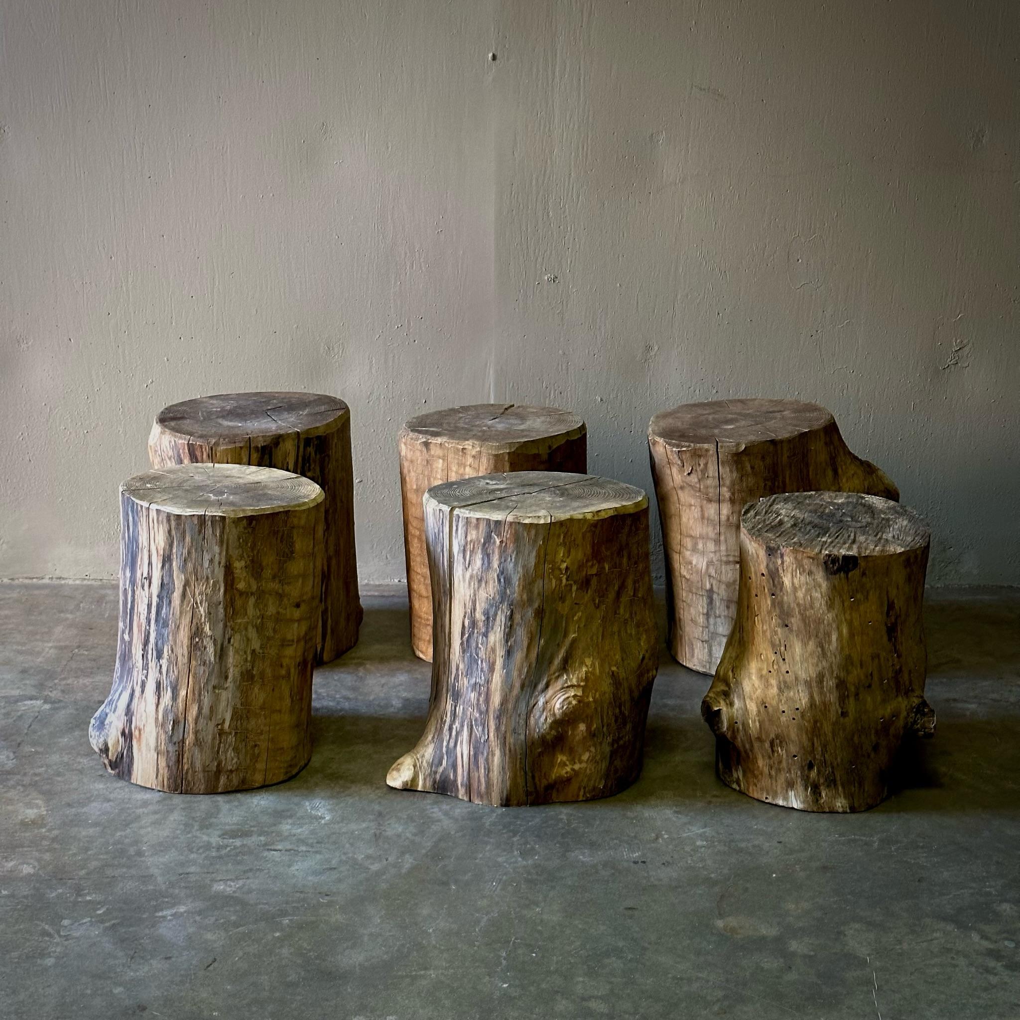 Six oak wood stump stools or side tables. A chic way of bringing the beauty of nature indoors. Rustic and elemental. 

Netherlands, circa 1960.

Dimensions: 14.2W x 14.2D x 17.3H.