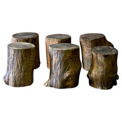 Set of Six Wood Stump Stools
