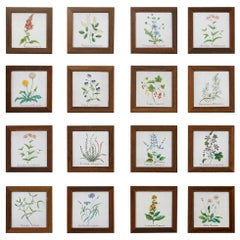 Set of Sixteen Italian Hand Painted Ceramic Botanical Tiles