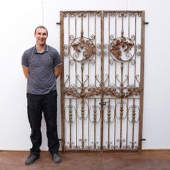 Set of Tall French Antique Wrought Iron Side Gates