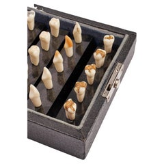 Set of Teeth and Samples of Fixtures, USA, 1920