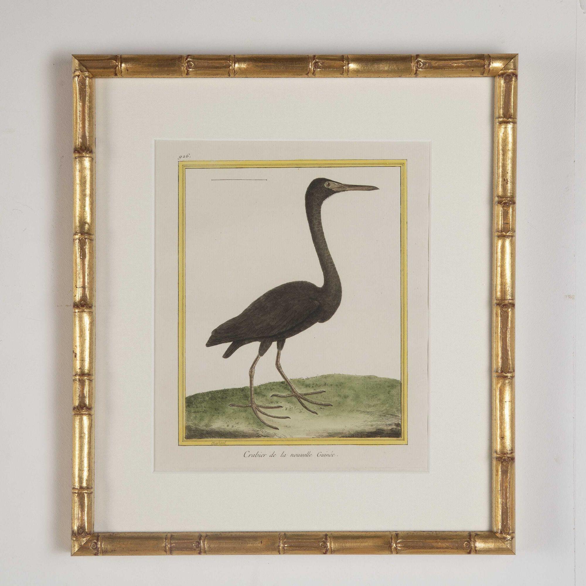 Fantastic set of ten beautifully hand-coloured engravings of Herons by Francois Nicolas Martinet, circa 1770.
These prints are framed in a bespoke gilt bamboo frame with hessian mounts and ar70 art glass for optimal clarity.
Over the course of