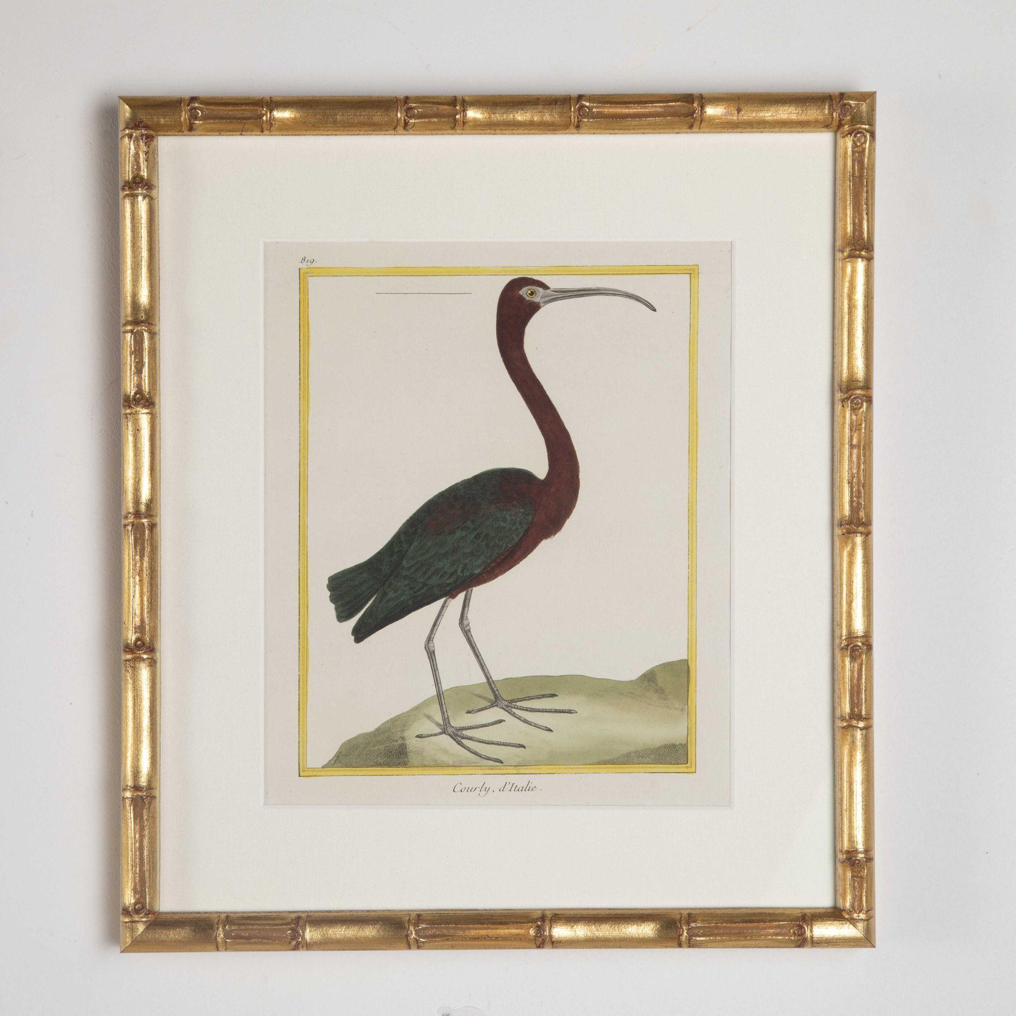 Set of Ten 18th Century Heron Engravings by Francois Nicolas Martinet In Good Condition In Gloucestershire, GB