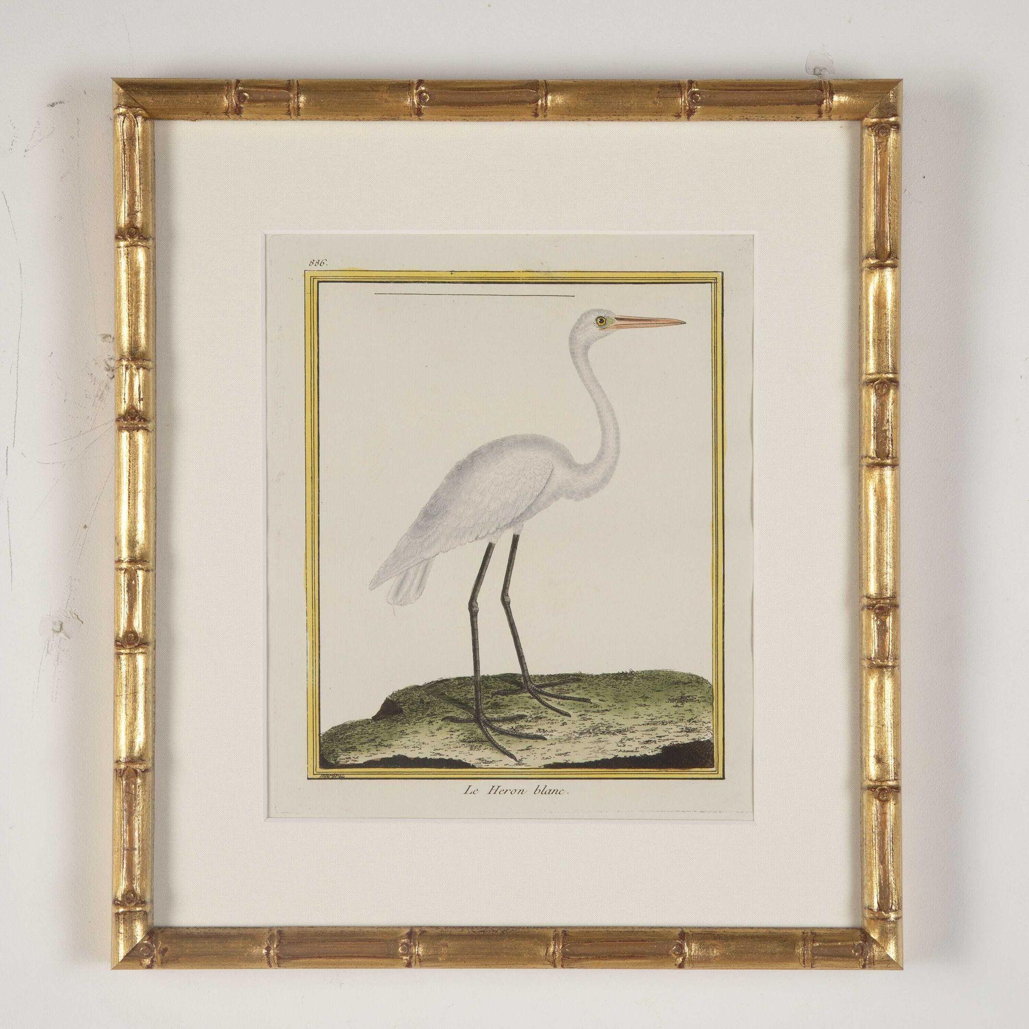 18th Century and Earlier Set of Ten 18th Century Heron Engravings by Francois Nicolas Martinet