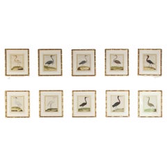 Set von zehn Herongravuren von Francois Nicolas Martinet aus dem 18. Jahrhundert