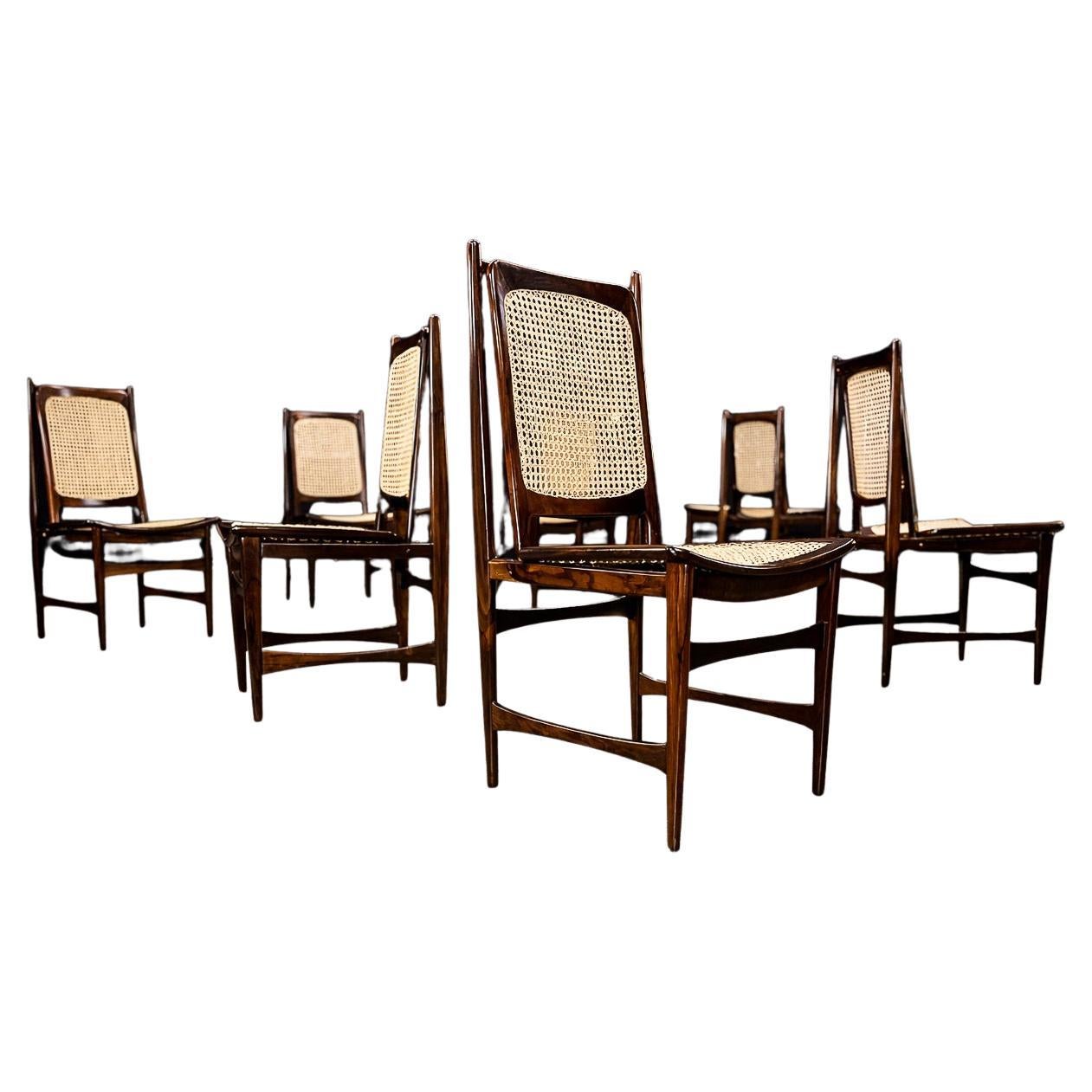 Set of Ten 1960s Brazilian Dining Chairs by Alexandre Rapoport For Sale