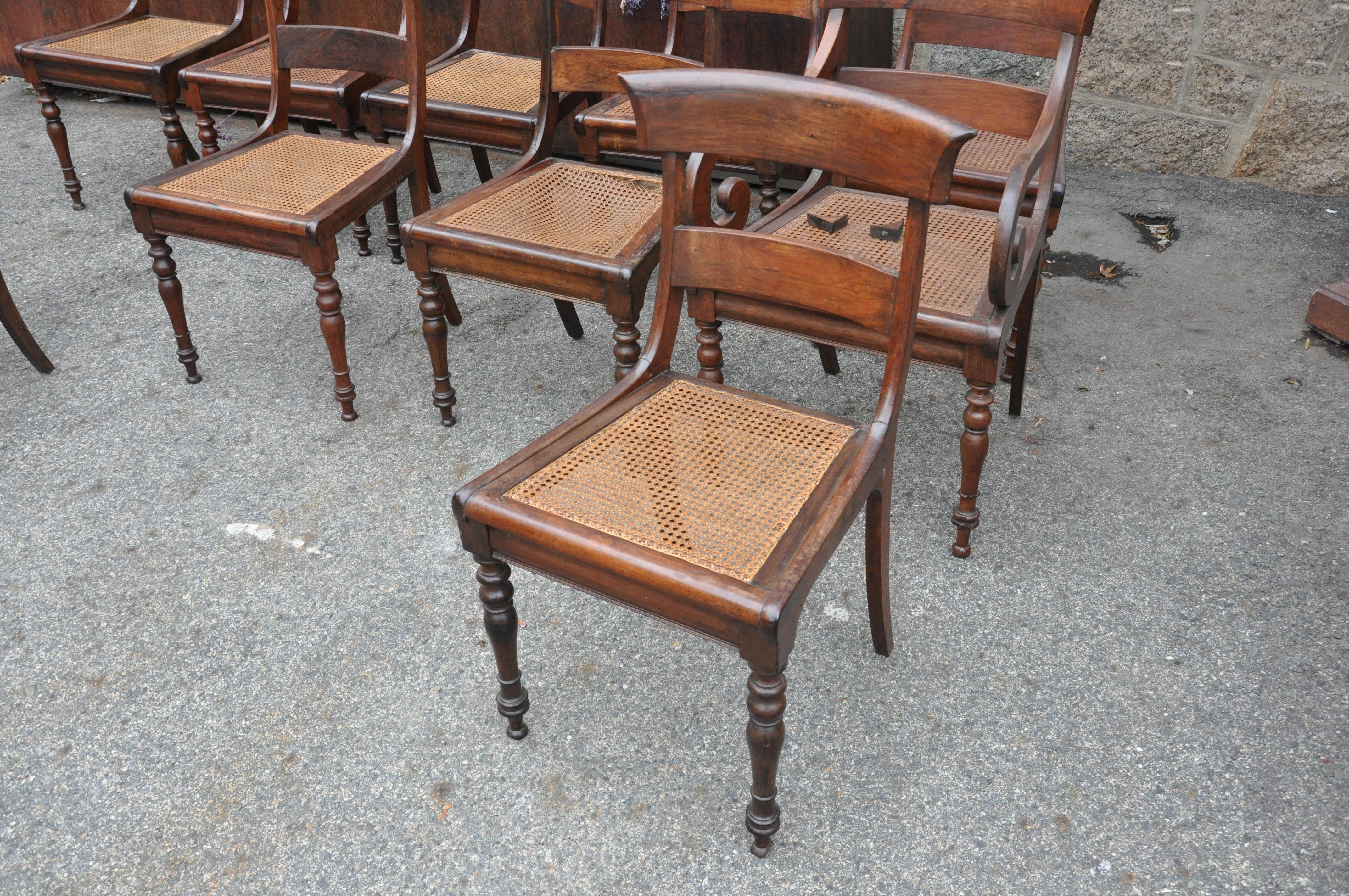 Set of 10 Anglo Regency dining chairs of klismos form. Caned seats. Well molded back. Rosewood and turned legs. Original finish. Good size and proportion, sturdy. One armchair and nine side chairs.

Would have had a loose seat cushion/pillow which