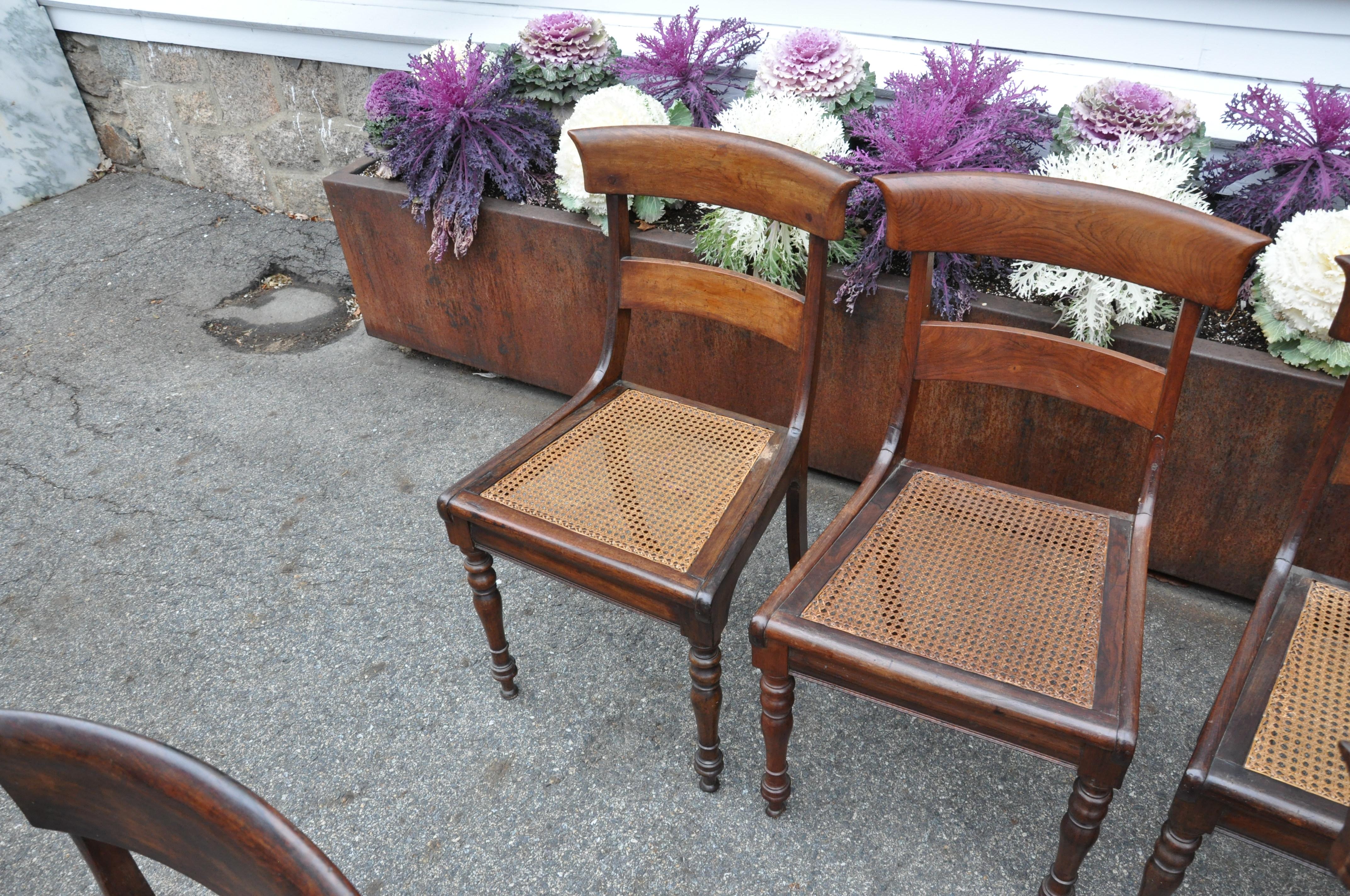 Anglo-Indian Set of Ten 19th Century Anglo Colonial Rosewood Regency Dining Chairs