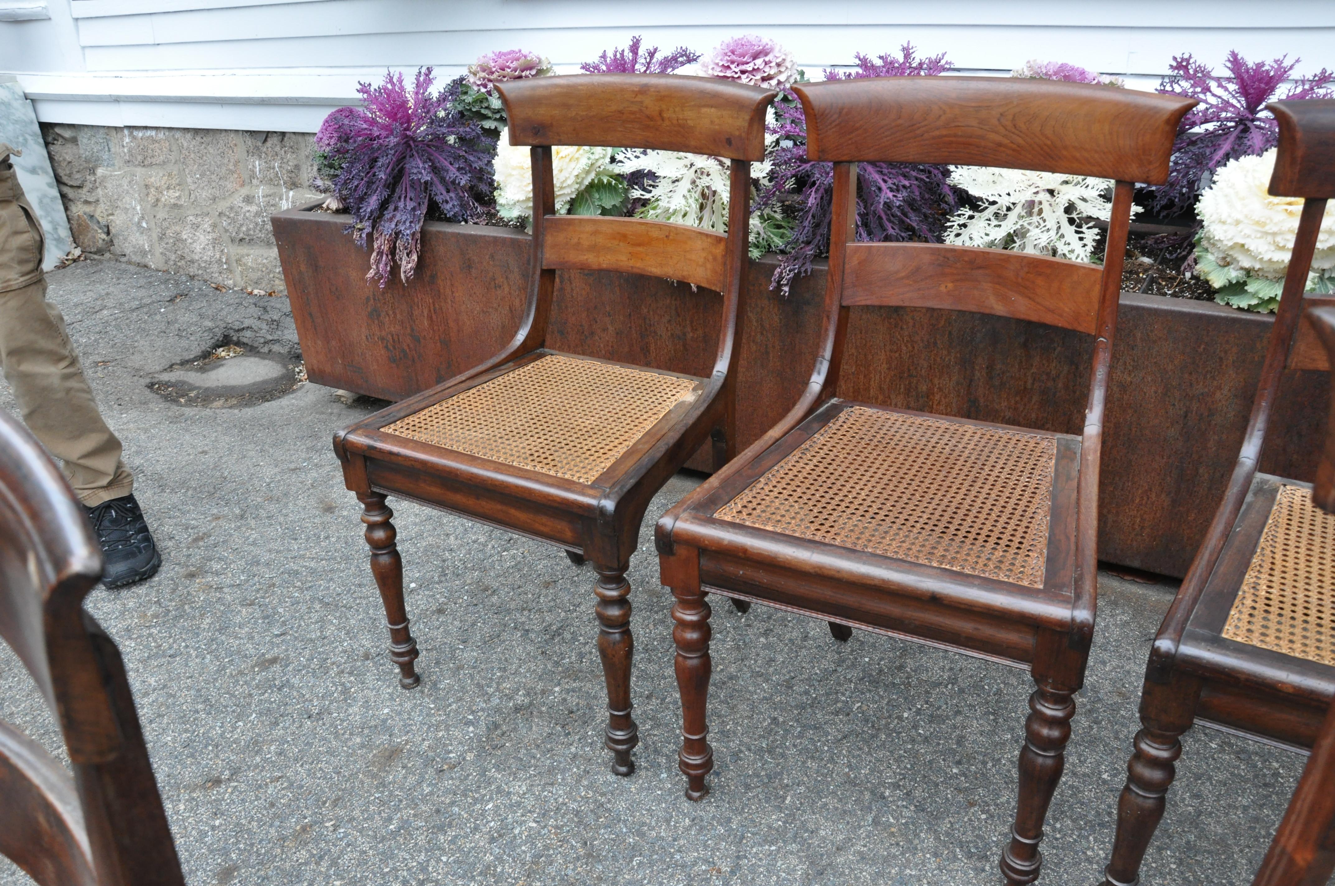 Indian Set of Ten 19th Century Anglo Colonial Rosewood Regency Dining Chairs