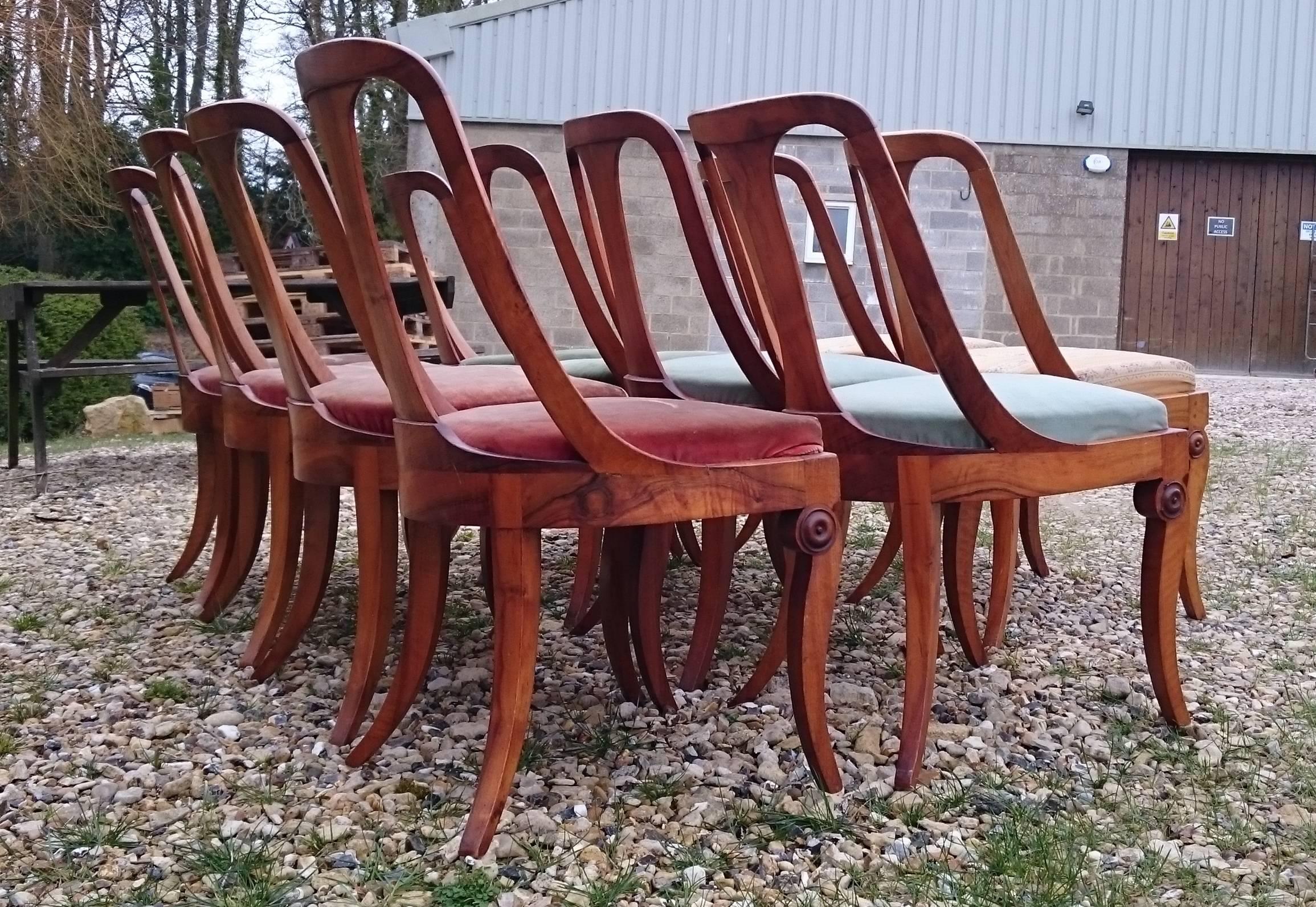 Set of Ten 19th Century Antique Walnut Biedermeier Dining Chairs 6