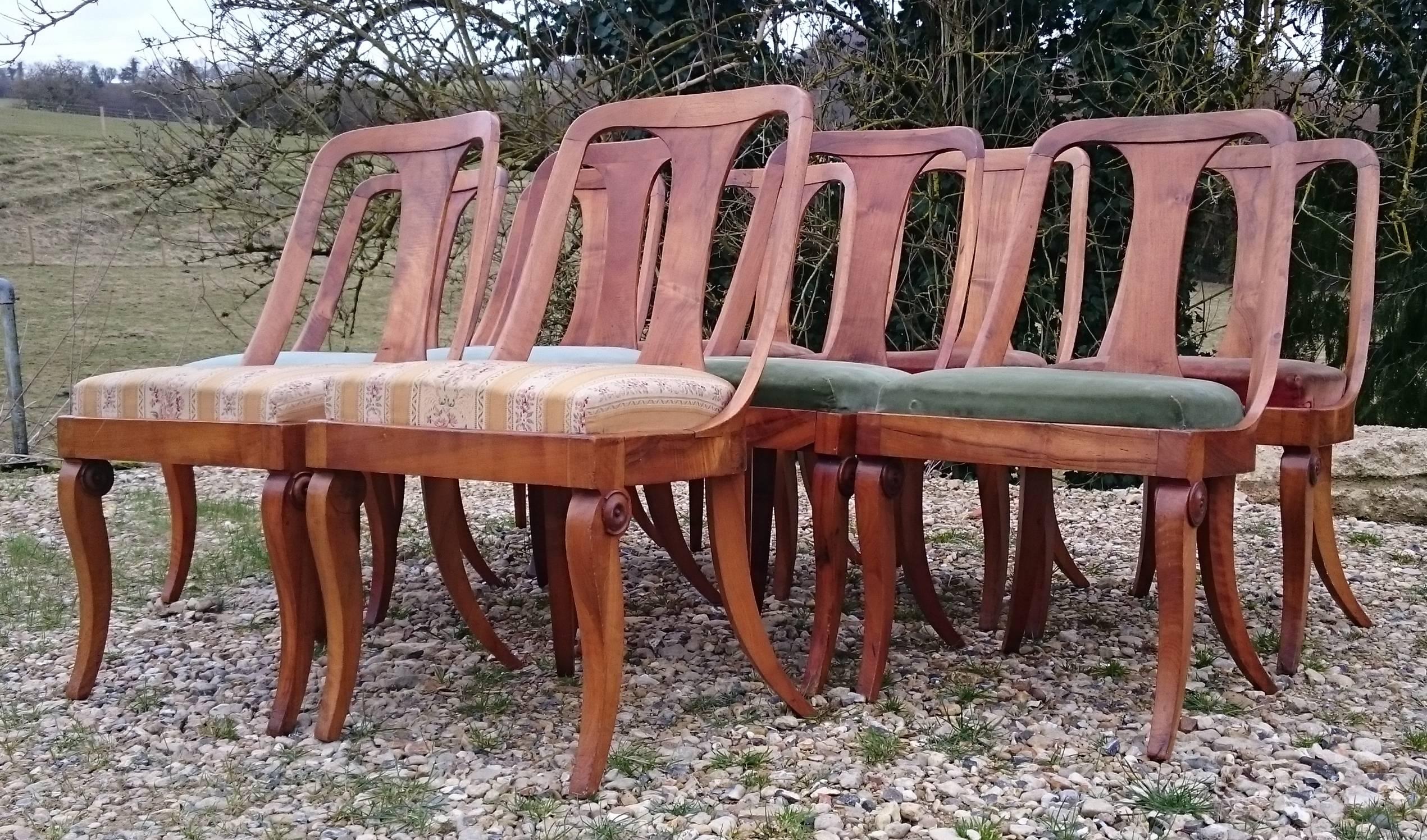 Set of Ten 19th Century Antique Walnut Biedermeier Dining Chairs 3
