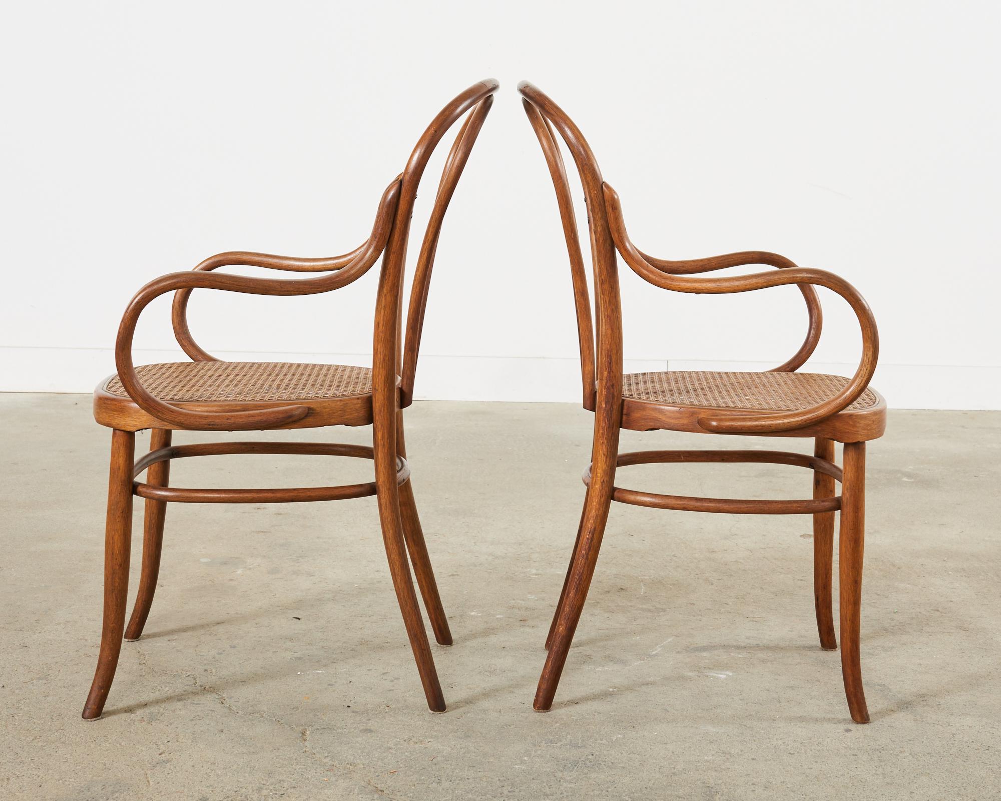 Set of Ten 19th Century J and J Kohn Bentwood Cane Armchairs For Sale 5