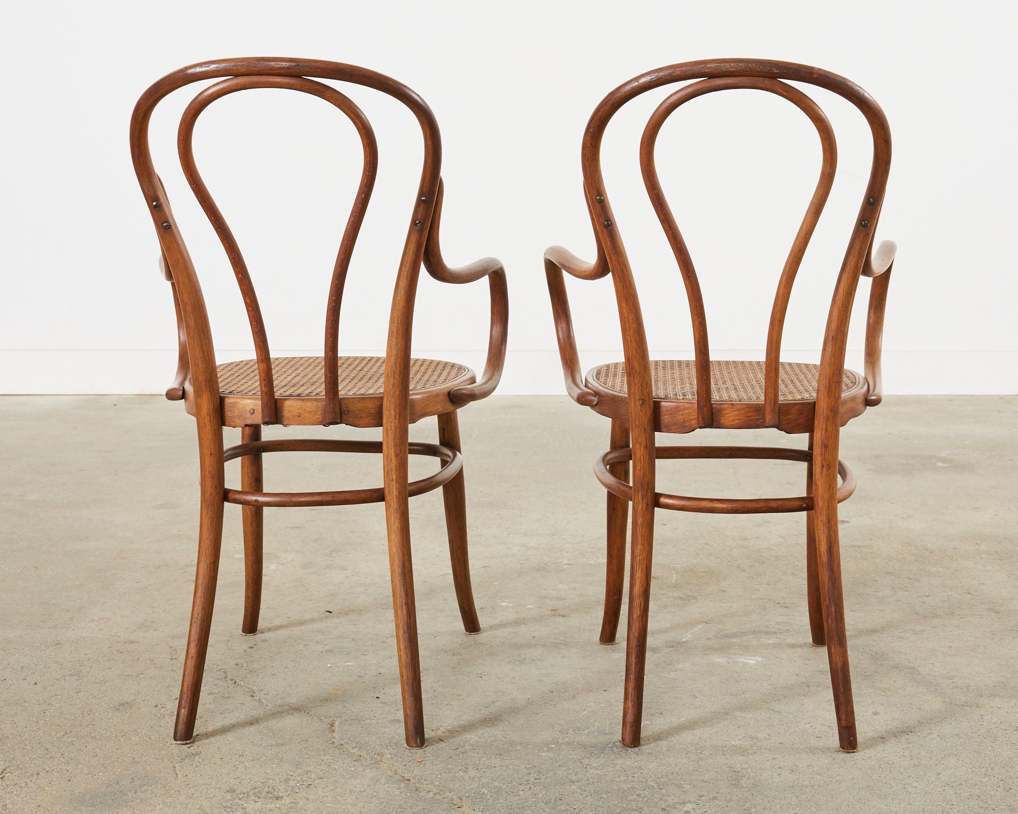 Set of Ten 19th Century J and J Kohn Bentwood Cane Armchairs For Sale 6