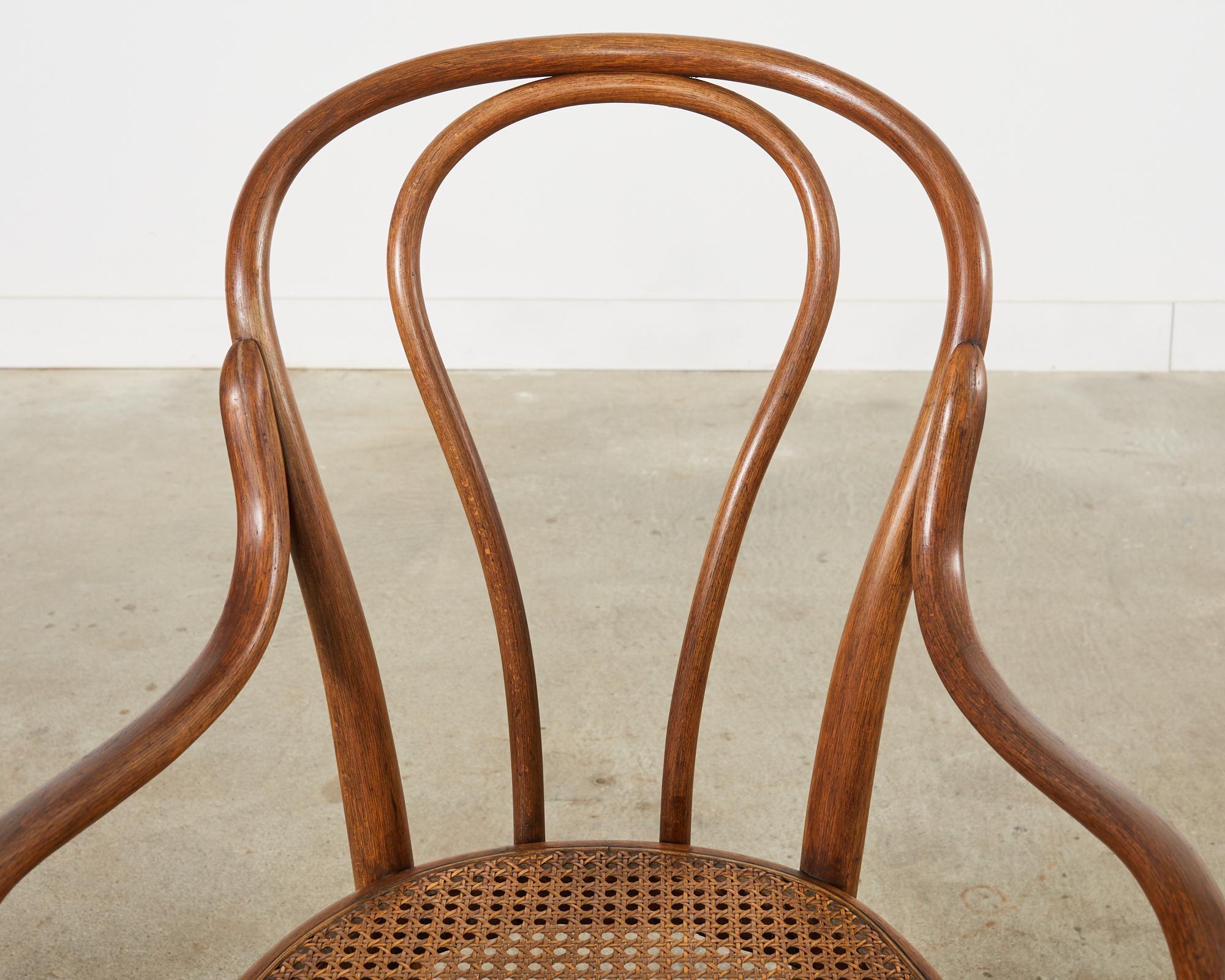 Set von zehn Sesseln aus Bugholzschilfrohr von J und J Kohn aus dem 19. Jahrhundert im Angebot 10
