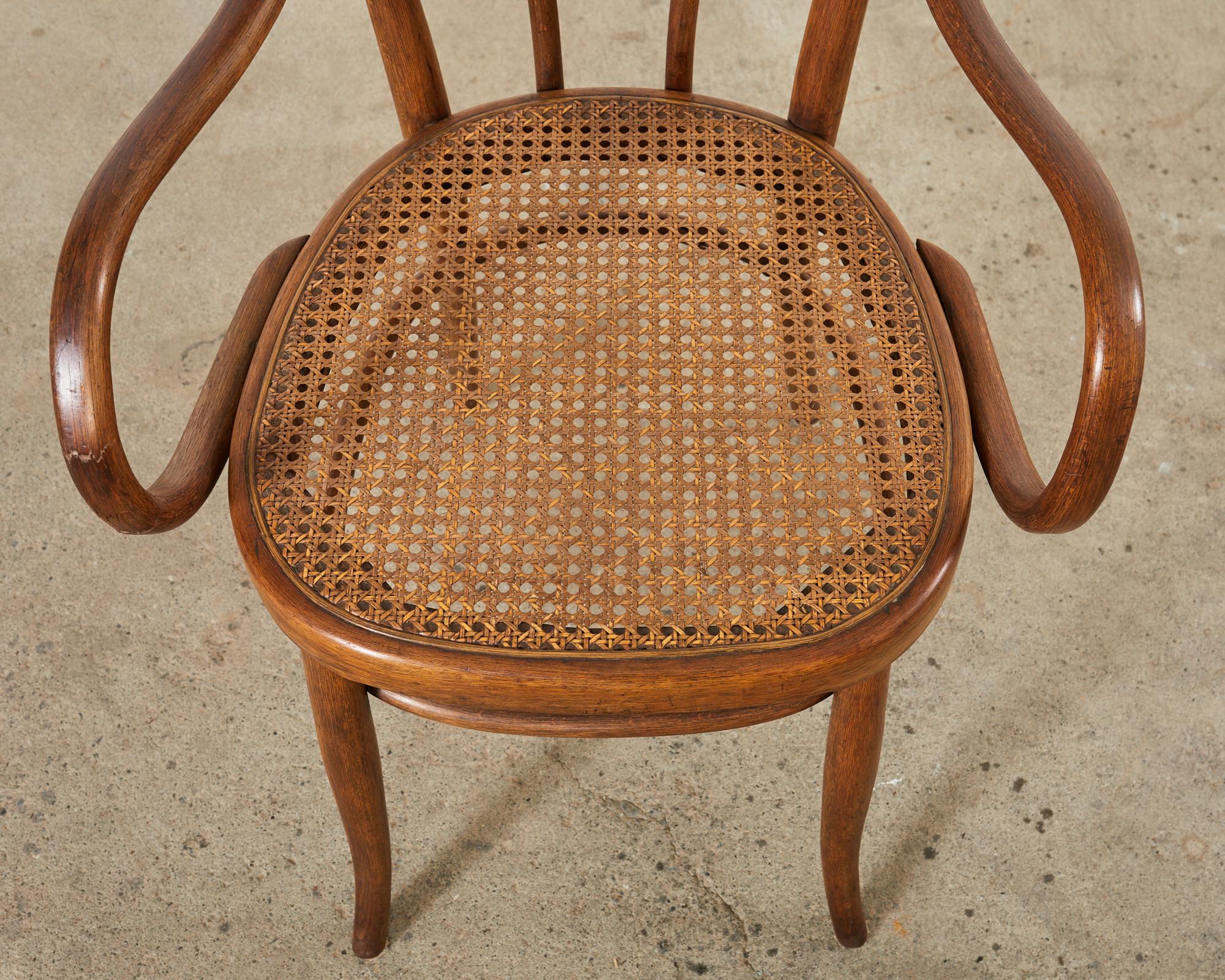 Set von zehn Sesseln aus Bugholzschilfrohr von J und J Kohn aus dem 19. Jahrhundert im Angebot 11