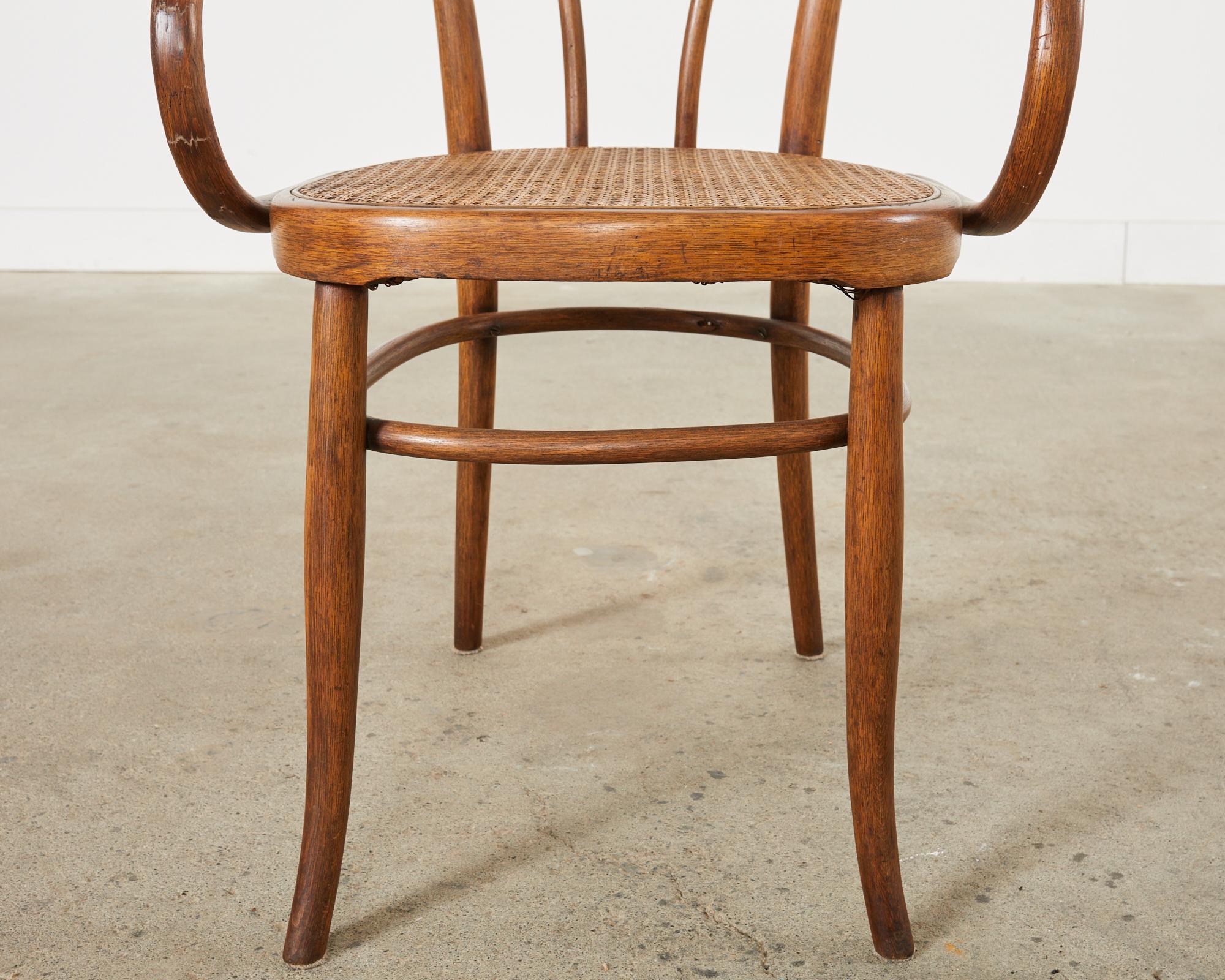 Set von zehn Sesseln aus Bugholzschilfrohr von J und J Kohn aus dem 19. Jahrhundert im Angebot 12