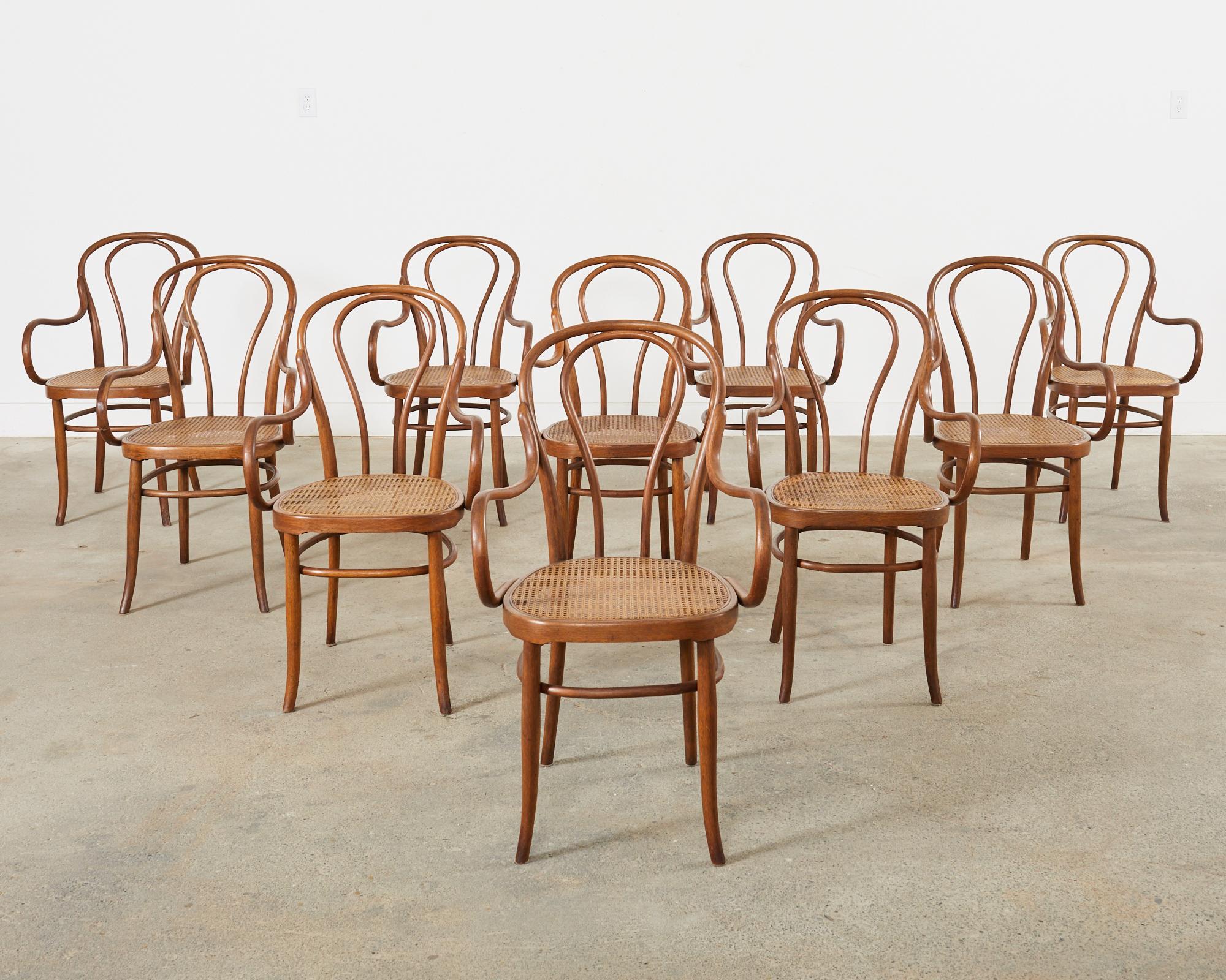 Austrian Set of Ten 19th Century J and J Kohn Bentwood Cane Armchairs For Sale