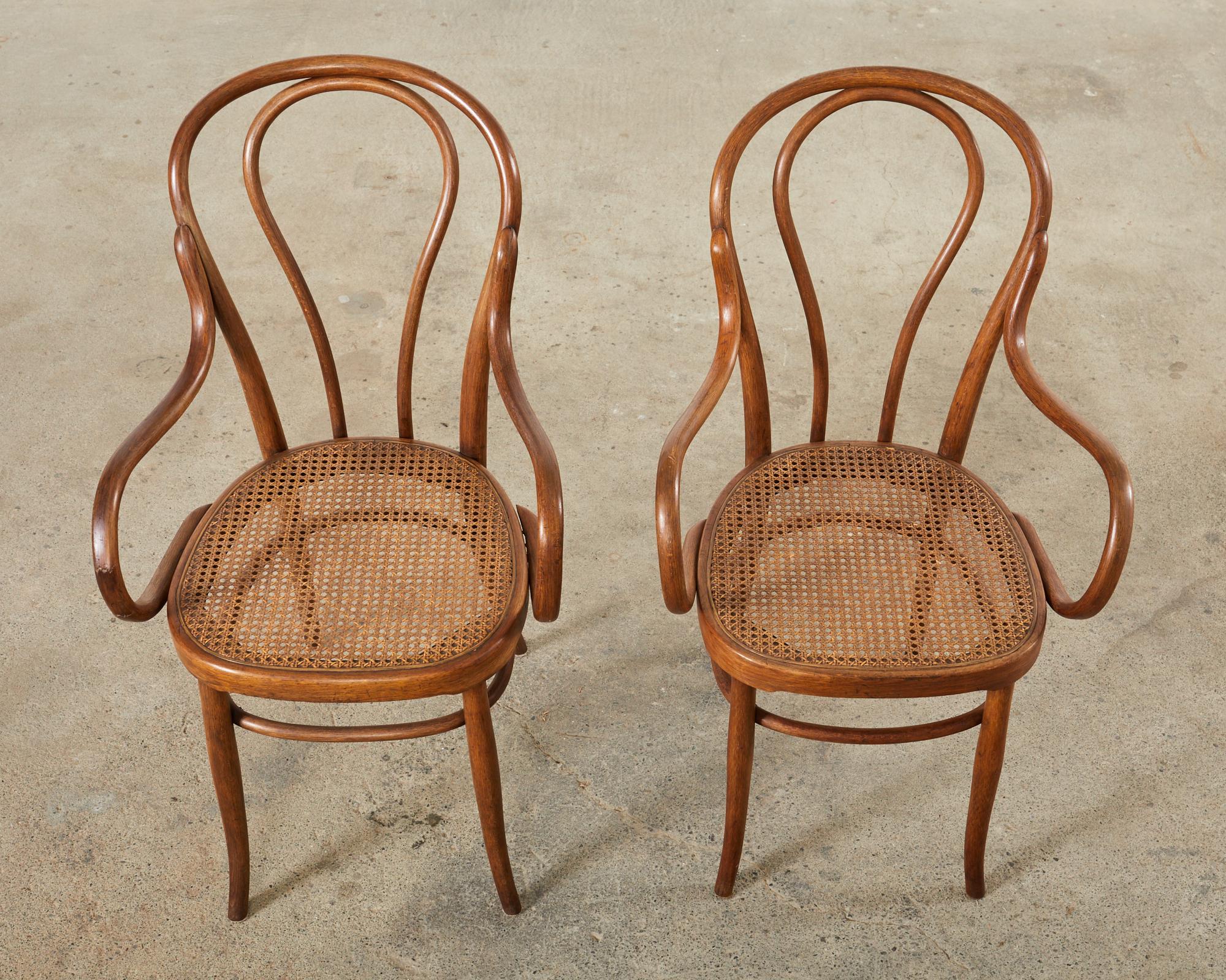 Set of Ten 19th Century J and J Kohn Bentwood Cane Armchairs In Distressed Condition For Sale In Rio Vista, CA