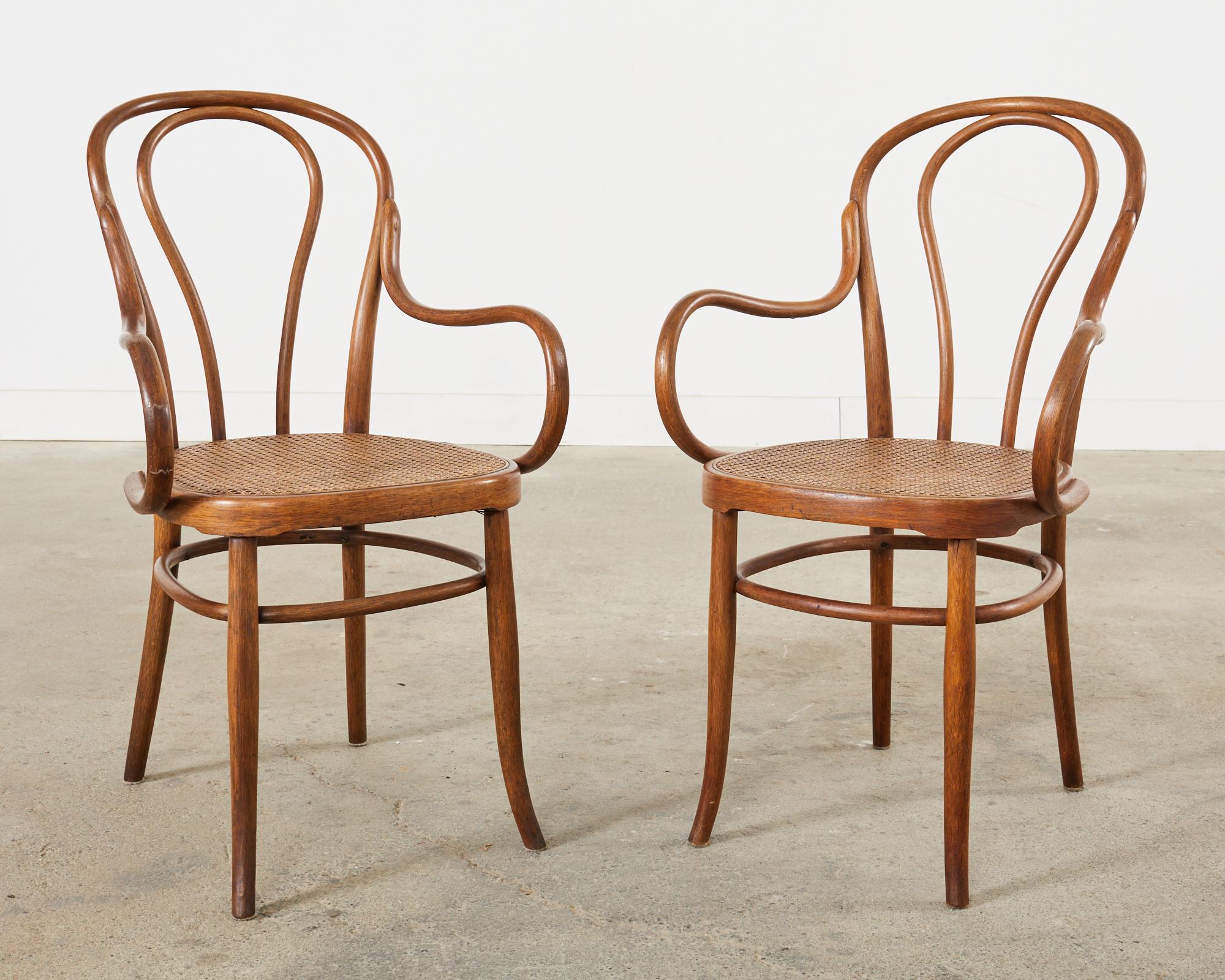 Set of Ten 19th Century J and J Kohn Bentwood Cane Armchairs For Sale 1