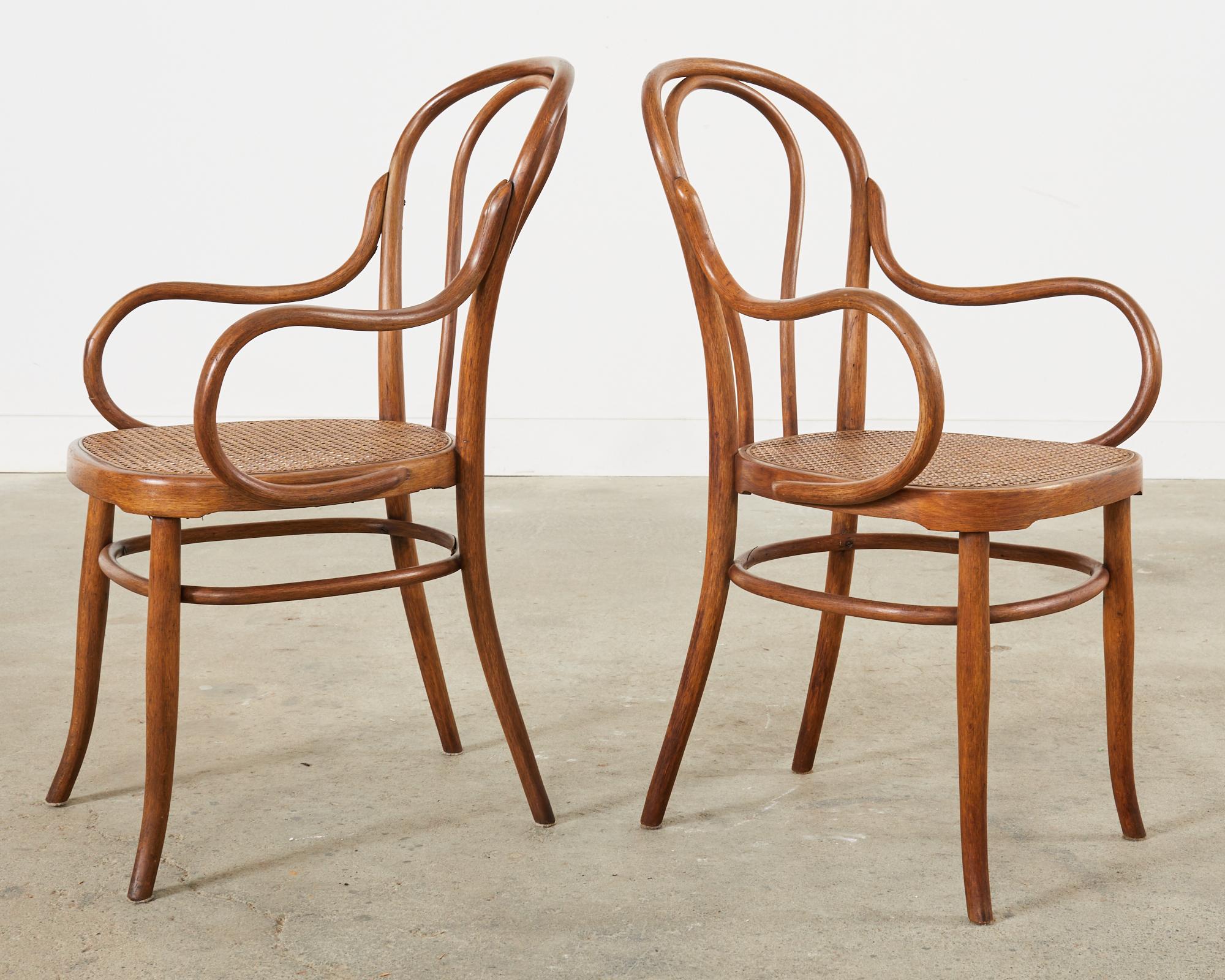 Set of Ten 19th Century J and J Kohn Bentwood Cane Armchairs For Sale 3