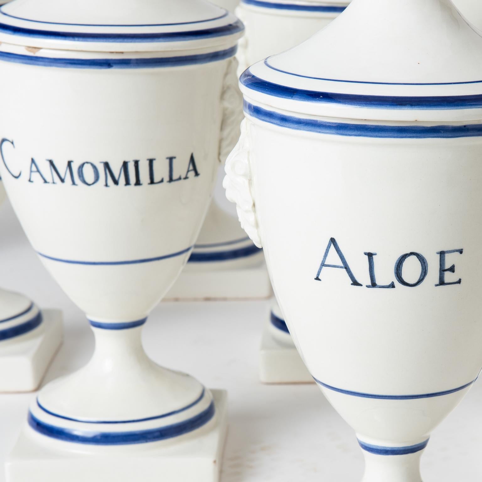 Set of Ten Blue and White 19th Century Italian Apothecaries In Good Condition In New Preston, CT