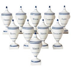 Set of Ten Blue and White 19th Century Italian Apothecaries