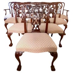 Set of Ten Chippendale Elegantly Carved Mahogany Dining Chairs