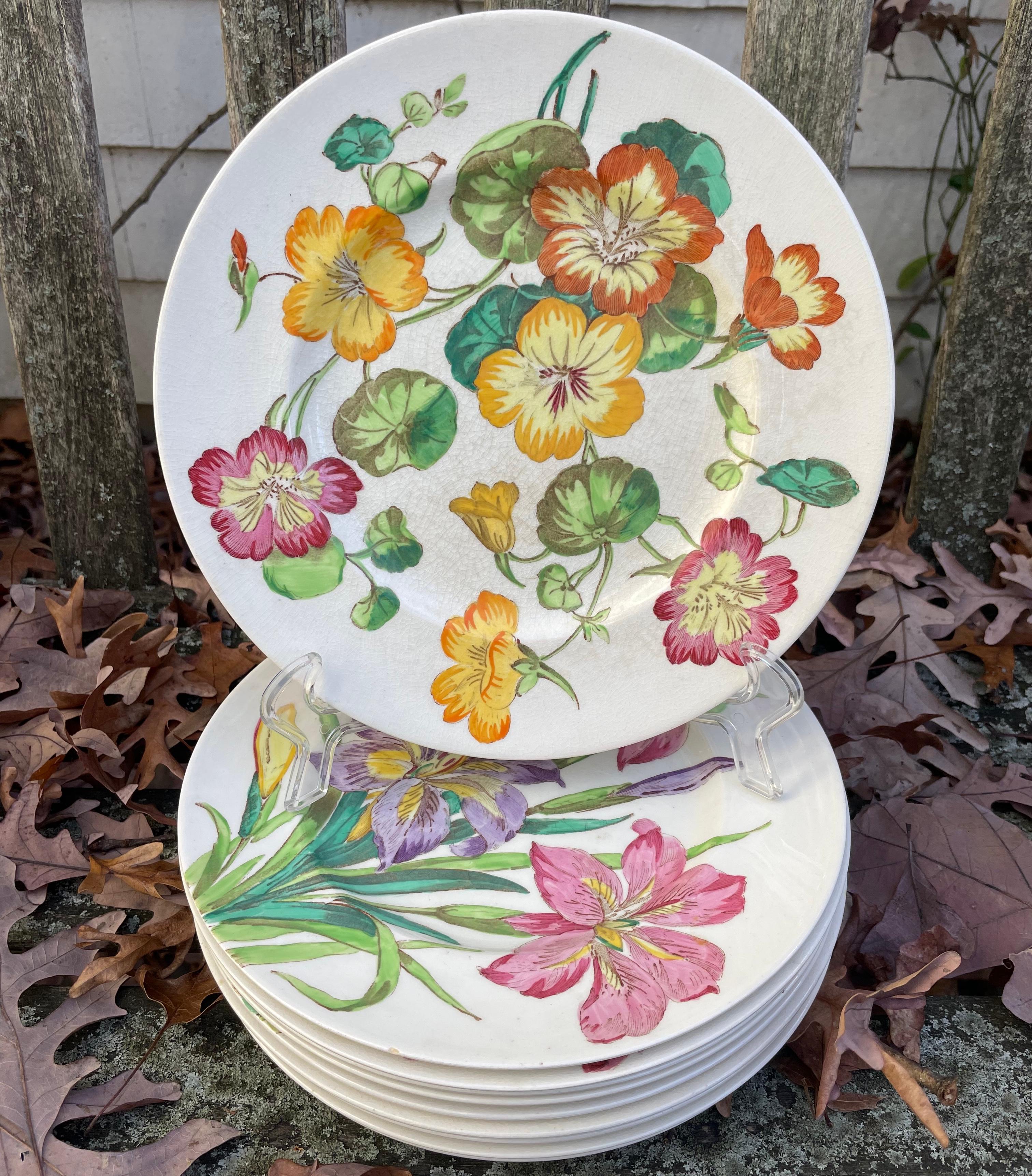 Set of Ten English Flower Plates For Sale 6